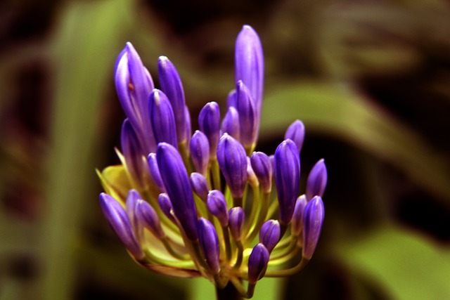 记者：国王明年状元签概率超10%，将出售多名球员进行重建